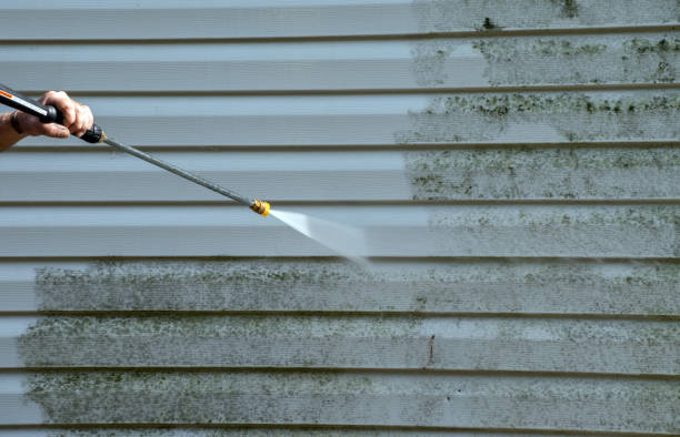 Best Sidewalk Pressure Washing  in Avis, PA