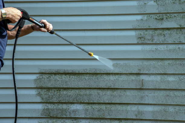 Best Concrete Pressure Washing  in Avis, PA
