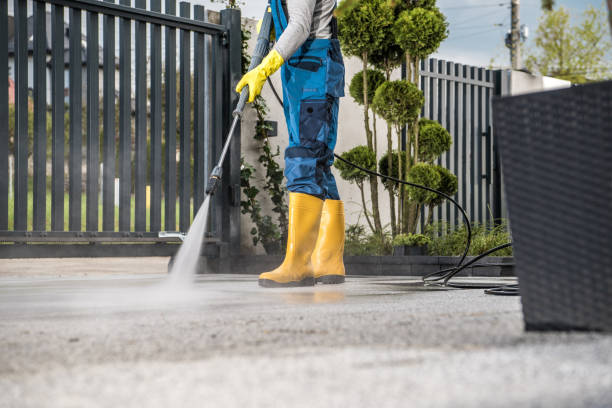 Best Deck Cleaning Services  in Avis, PA