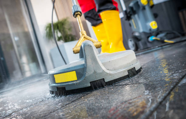 Best House Pressure Washing  in Avis, PA