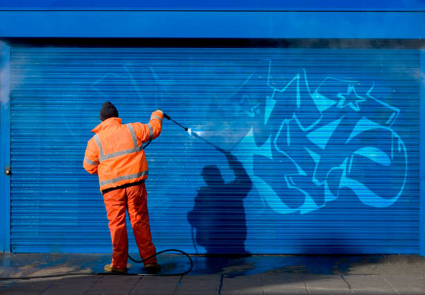 Best Best Pressure Washing Companies  in Avis, PA