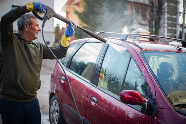 Best Pressure Washing Company Near Me  in Avis, PA