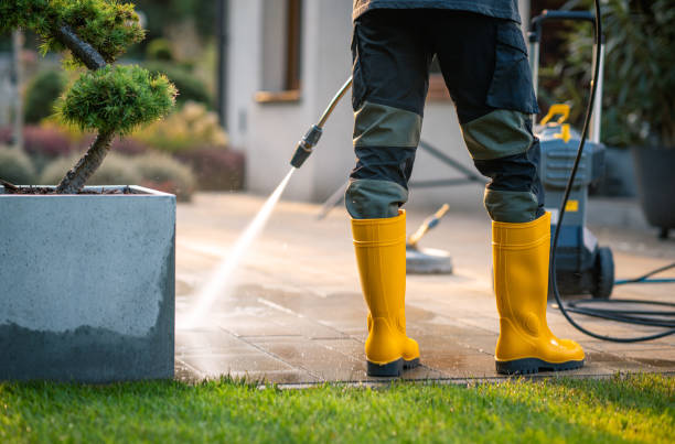 Best Exterior Home Cleaning  in Avis, PA